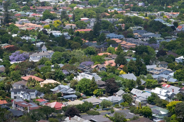 NewZealand 09 10  033